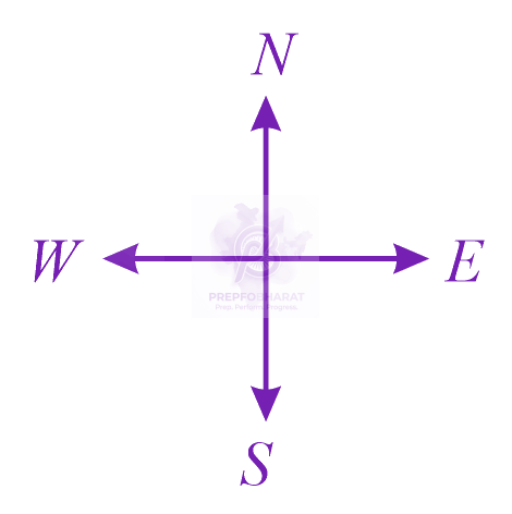 NEET 2023 Physics, Motion In One Dimension — solution figure 1