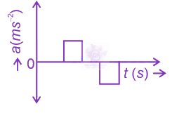 NEET 2024 Physics, Motion In One Dimension — option B figure