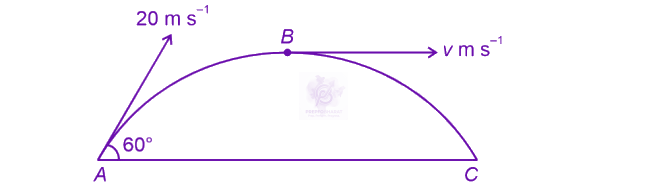NEET 2023 Physics, Motion In Two Dimensions — question figure