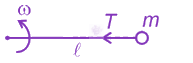 NEET 2024 Physics, Motion In Two Dimensions — solution figure 1