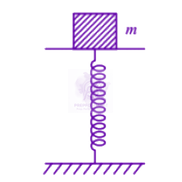 NEET 2007 Physics, Oscillations — question figure
