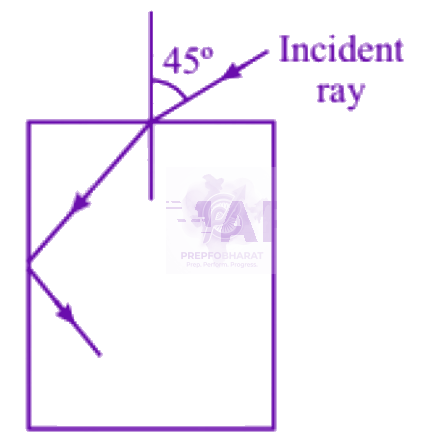 NEET 2002 Physics, Ray Optics — question figure
