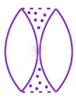 NEET 2019 Physics, Ray Optics — solution figure 2