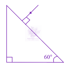 NEET 2021 Physics, Ray Optics — question figure