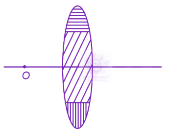 NEET 2023 Physics, Ray Optics — question figure