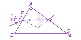 NEET 2024 Physics, Ray Optics — question figure