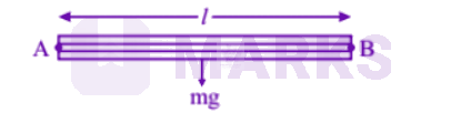 NEET 2006 Physics, Rotational Motion — solution figure