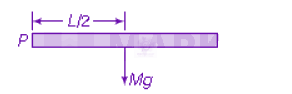 NEET 2013 Physics, Rotational Motion — solution figure