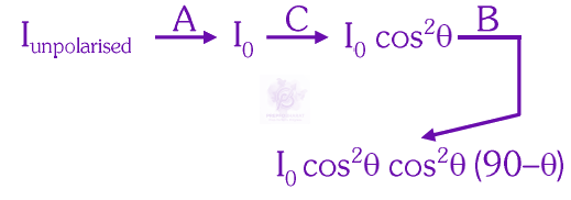 NEET 2025 Physics, Wave Optics — solution figure 2