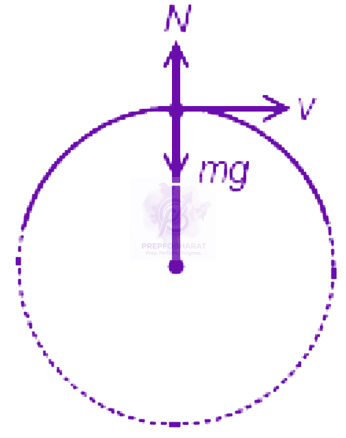 NEET 2008 Physics, Work Power Energy — solution figure