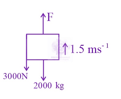 NEET 2022 Physics, Work Power Energy — solution figure