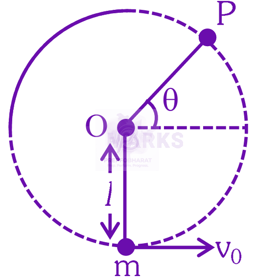 NEET 2025 Physics, Work Power Energy — question figure