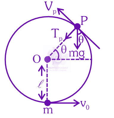 NEET 2025 Physics, Work Power Energy — solution figure