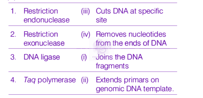 NEET 2019 Zoology, Biotechnology - Principles and Processes — solution figure
