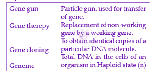 NEET 2022 Zoology, Biotechnology - Principles and Processes — solution figure
