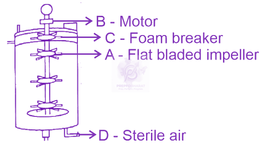 NEET 2025 Zoology, Biotechnology - Principles and Processes — solution figure