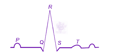 NEET 2011 Zoology, Body Fluids and Circulation — question figure
