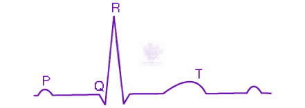 NEET 2013 Zoology, Body Fluids and Circulation — question figure