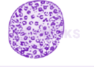 NEET 2013 Zoology, Body Fluids and Circulation — question figure
