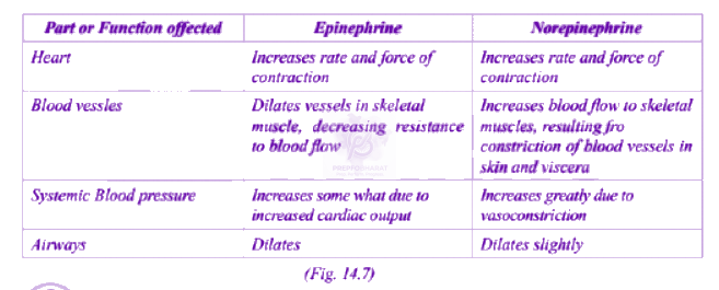NEET 2013 Zoology, Chemical Coordination and Integration — solution figure