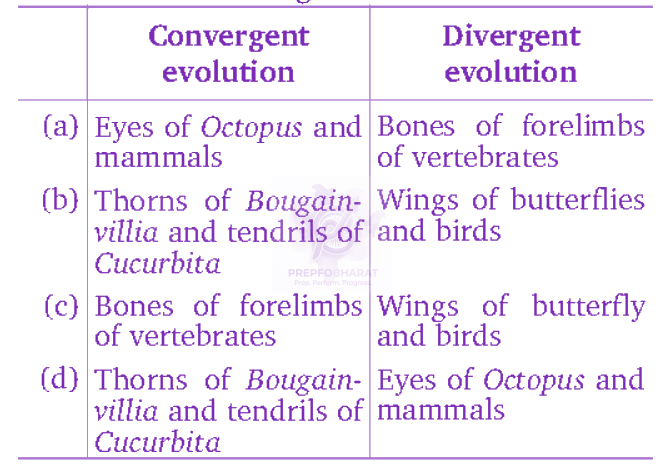 NEET 2012 Zoology, Evolution — question figure