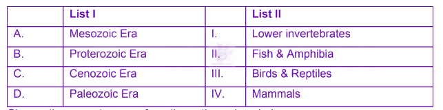 NEET 2024 Zoology, Evolution — question figure