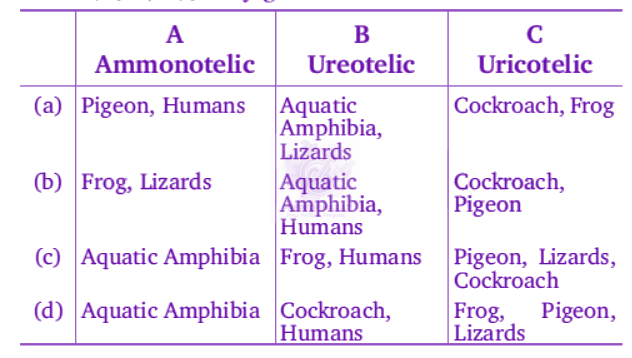 NEET 2012 Zoology, Excretory Products and their Elimination — question figure