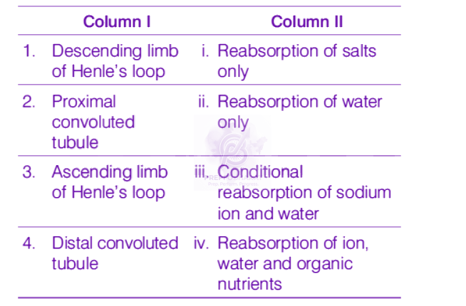 NEET 2019 Zoology, Excretory Products and their Elimination — question figure