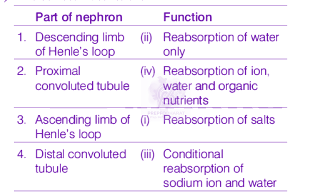 NEET 2019 Zoology, Excretory Products and their Elimination — solution figure