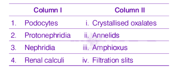 NEET 2019 Zoology, Excretory Products and their Elimination — question figure