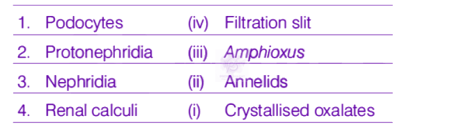 NEET 2019 Zoology, Excretory Products and their Elimination — solution figure