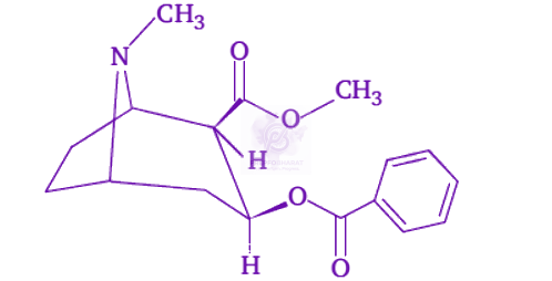 NEET 2012 Zoology, Human Health and Diseases — question figure 1