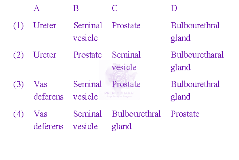 NEET 2009 Zoology, Human Reproduction — question figure 2
