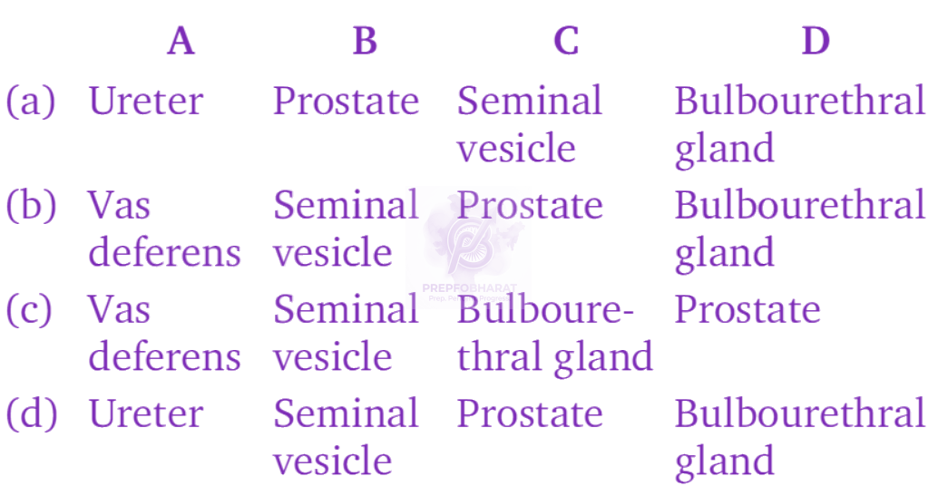 NEET 2009 Zoology, Human Reproduction — question figure 2