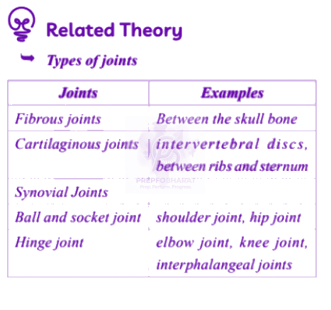 NEET 2005 Zoology, Locomotion and Movement — solution figure 1