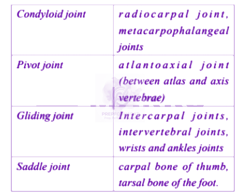 NEET 2005 Zoology, Locomotion and Movement — solution figure 2