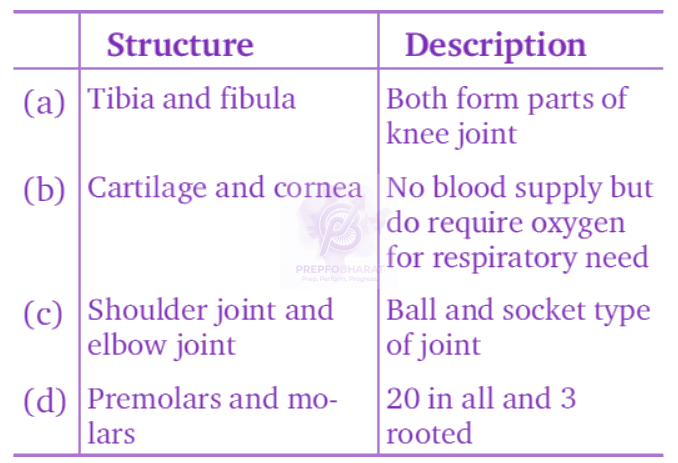 NEET 2010 Zoology, Locomotion and Movement — question figure