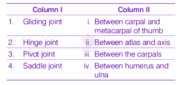 NEET 2019 Zoology, Locomotion and Movement — question figure