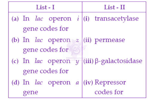 NEET 2022 Zoology, Molecular Basis of Inheritance — question figure