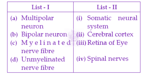 NEET 2022 Zoology, Neural Control and Coordination — question figure