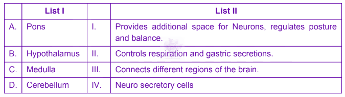 NEET 2024 Zoology, Neural Control and Coordination — question figure