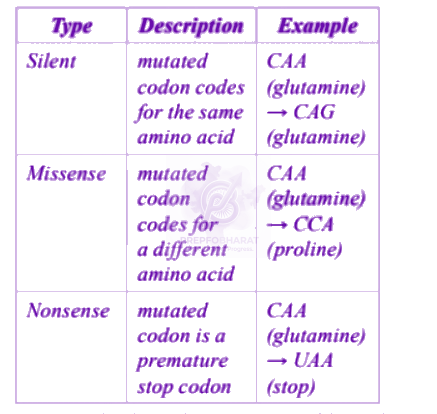 NEET 2004 Zoology, Principles of Inheritance and Variation — solution figure