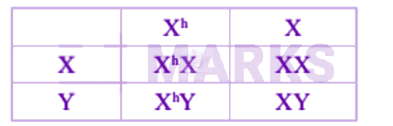 NEET 2004 Zoology, Principles of Inheritance and Variation — solution figure