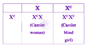 NEET 2005 Zoology, Principles of Inheritance and Variation — solution figure 1