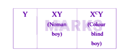 NEET 2005 Zoology, Principles of Inheritance and Variation — solution figure 2