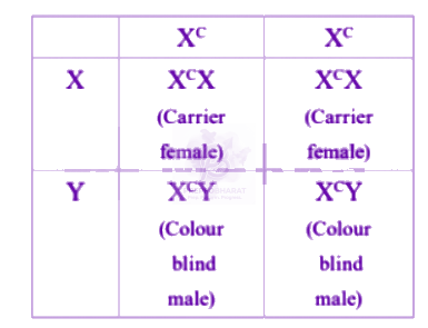 NEET 2006 Zoology, Principles of Inheritance and Variation — solution figure