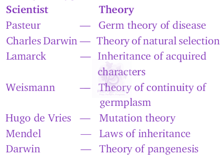 NEET 2008 Zoology, Principles of Inheritance and Variation — solution figure
