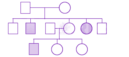 NEET 2009 Zoology, Principles of Inheritance and Variation — question figure