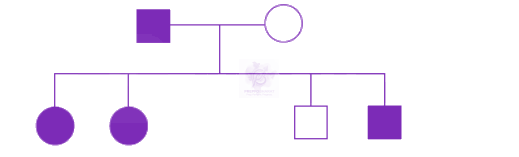 NEET 2010 Zoology, Principles of Inheritance and Variation — question figure