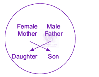 NEET 2012 Zoology, Principles of Inheritance and Variation — question figure